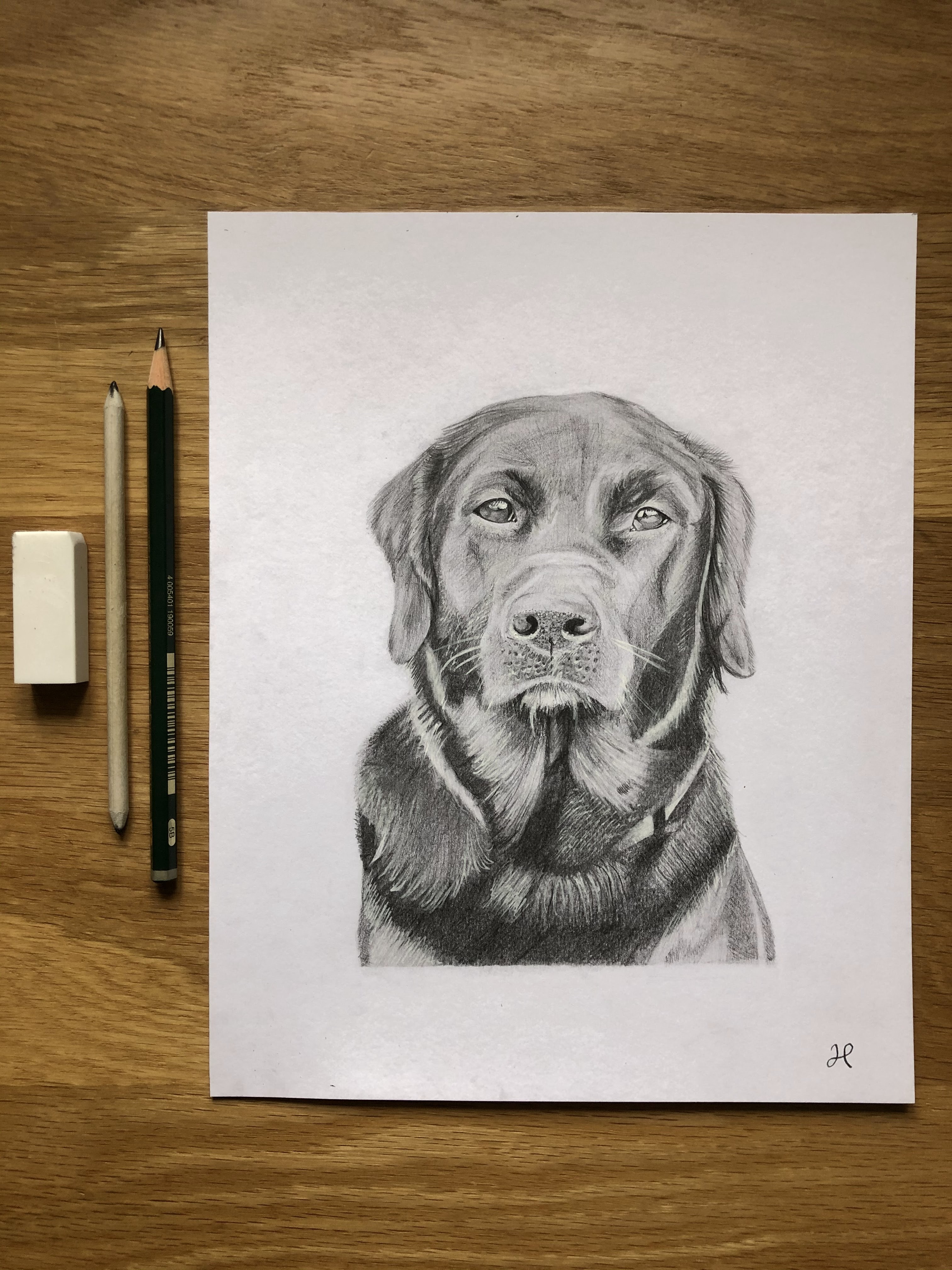 Custom Commission Example